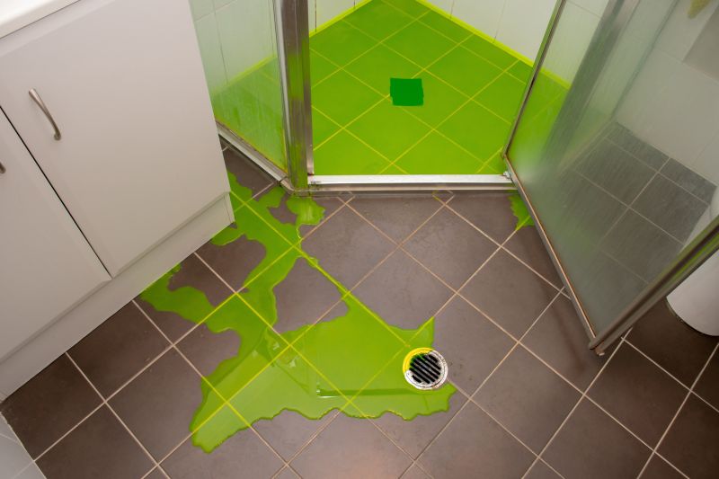 Shower Water Leak Detection