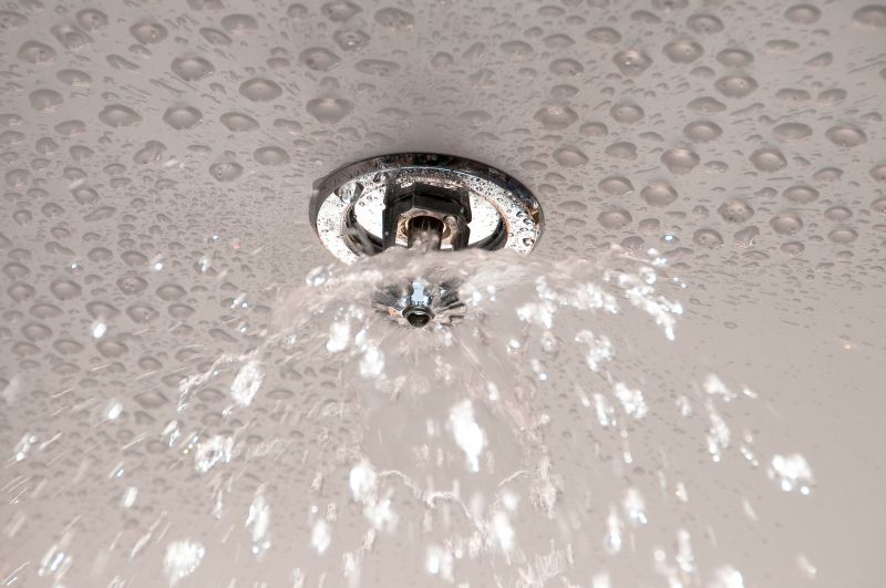 Shower Water Leak Detection